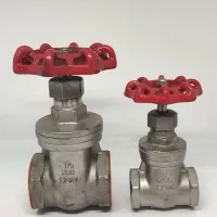 Stop kran 2" Gate valve SS