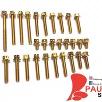 Baut Probolt Bak Mesin Ninja R/RR Gold