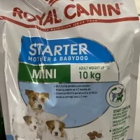 Royal Canin Mini Starter Dog 1 kg