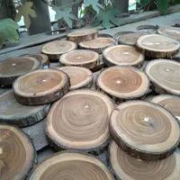 wood slice jati diameter 13-14 cm tebal 5 cm