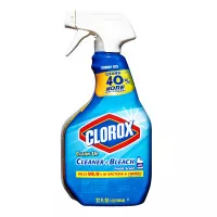 Clorox Clean-Up Cleaner + Bleach - Fresh Scent