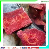 Bahan Batu Red Coral Marjan