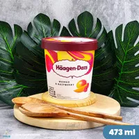 Haagen Dazs Ice Cream 473ml | Mango & Raspberry Flavour