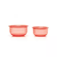 PROMO 55% Tupperware Table Collection 2pcs