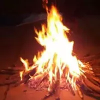 api unggun kayu bakar terbaik