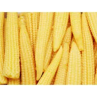 Baby Corn (250gr)