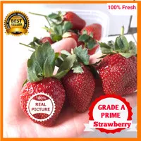 BUAH STRAWBERRY SEGAR FRESH GRADE A PRIME BUAH STROBERI BERKUALITAS