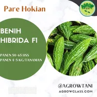 3 Biji - Benih Bibit Pare Paria Hokian F1 Bintang Asia (Repack)