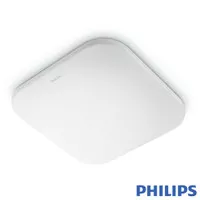 Lampu Philips baret kotak 31110 17w