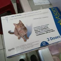 Revolution Blue Cat Adult, obat kutu kucing dewasa per Tube