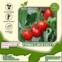 TOMAT SERVO F1 - kemasan repack 35 seeds