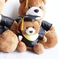 Boneka Wisuda 7 | Beruang Sarjana | Graduation Teddy Bear