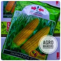 Bibit Benih Jagung Manis Bonanza F1 1750 Butir Cap Panah Merah