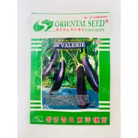 Benih terong ungu f1 or VALERIE isi 5gr dari oriental seed