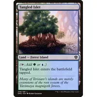 Tangled Islet