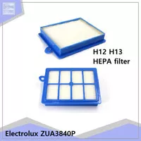 Filter HEPA Untuk Philips Electrolux ZUA3840P H13 H12 DLL