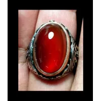 Red Obi bacan obi merah size kantoran mumbul kode 03