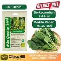 Benih Bayam Jepang Horenso - Mix Garden Seed - 50+ Benih