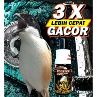 Vitamin Burung Cendet ,Vitamin Penggacor Burung Cendet,Booster