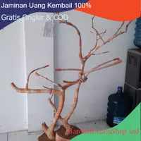 TANGKRINGAN kayu kopi cabang indor/outdor/kayu tangkringan burung