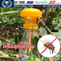 Fruit Fly Trap - Alat Perangkap Pembunuh Lalat Buah Penarik Ferokop