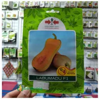 Butternut Pumpkin LABUMADU F1 Benih Bibit Buah Labu Madu isi 10 Biji