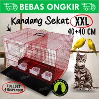 Sangkar kandang umbaran sekat 60x40x42 sangkar ternak burung lovebird