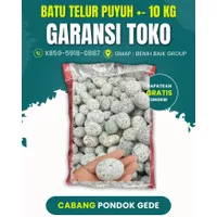 Batu Taman Telur Puyuh (Batu Alam Koral Sikat Hias Taman)