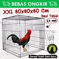 Sangkar kandang besi galvanis kotak kurung kurungan ayam laga aduan