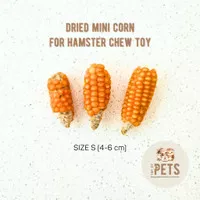 Mini Dried corn Hamster chew toy / Jagung kering cemilan snack Hamster / Asahan gigi Hamster