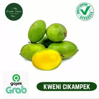 H8GL MANGGA KWENI BUAH SEGAR 1 KG