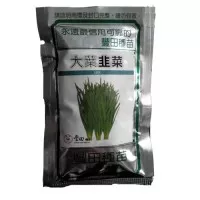Fong Tien Seed Leek - Benih Bawang daun besar - 25 gram