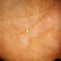 100 % natural chrysoberyl cat eye (imut)