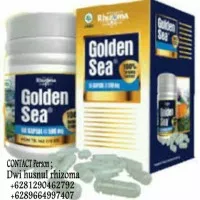 Golden sea tripang capsule rhizoma