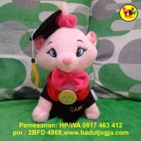 Boneka Wisuda Kucing / Merry Cat Plus Pin dan Bordir Nama 30 cm