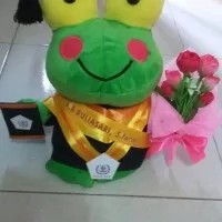 Boneka Wisuda Keropi 27 cm Atribut Lengkap Kado Romantis Couple