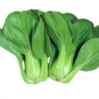 benih hydroponik pak choi isi 400 benih pak choy