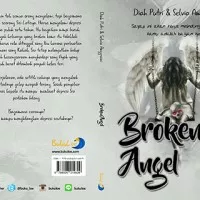 Novel Broken Angel