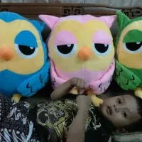 Boneka Owl Roumang The Heirs Besar