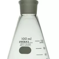 Erlenmeyer flask 1000 ml with TS glass stopper