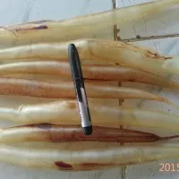 Gelembung Ikan / Fish Maw / Yi Phiau / Hi Pio / Ng Phiau Ikan Malong