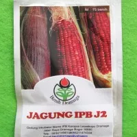 Benih Jagung Ungu IPB J2 Pack - Dramaga