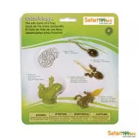 Safari Ltd - Life Cycle of A Frog Set