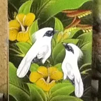 Lukisan  Burung  Jalak Putih latar belakang Bunga Kembang Sepatu