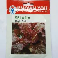 1 Pack 5 Gr Benih Bibit hidroponik Selada Merah Kayla Red Known You 