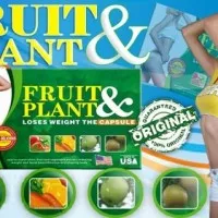 Obat Pelangsing Badan Fruit Plant Original