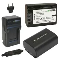 Wasabi Power Battery Sony NP-FV30, NP-FV40, NP-FV50 (2-Pack) & Charger