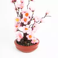 Pohon Sakura Mini 25 cm x 15 x 15 cm R1009R