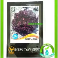 Benih Red Coral Lettuce / Selada Keriting Merah NEW DAY SEED (1 Pack)