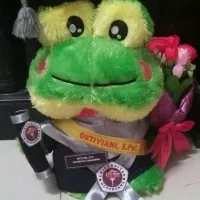 Boneka wisuda keropi bulu ukuran 40cm lengkap